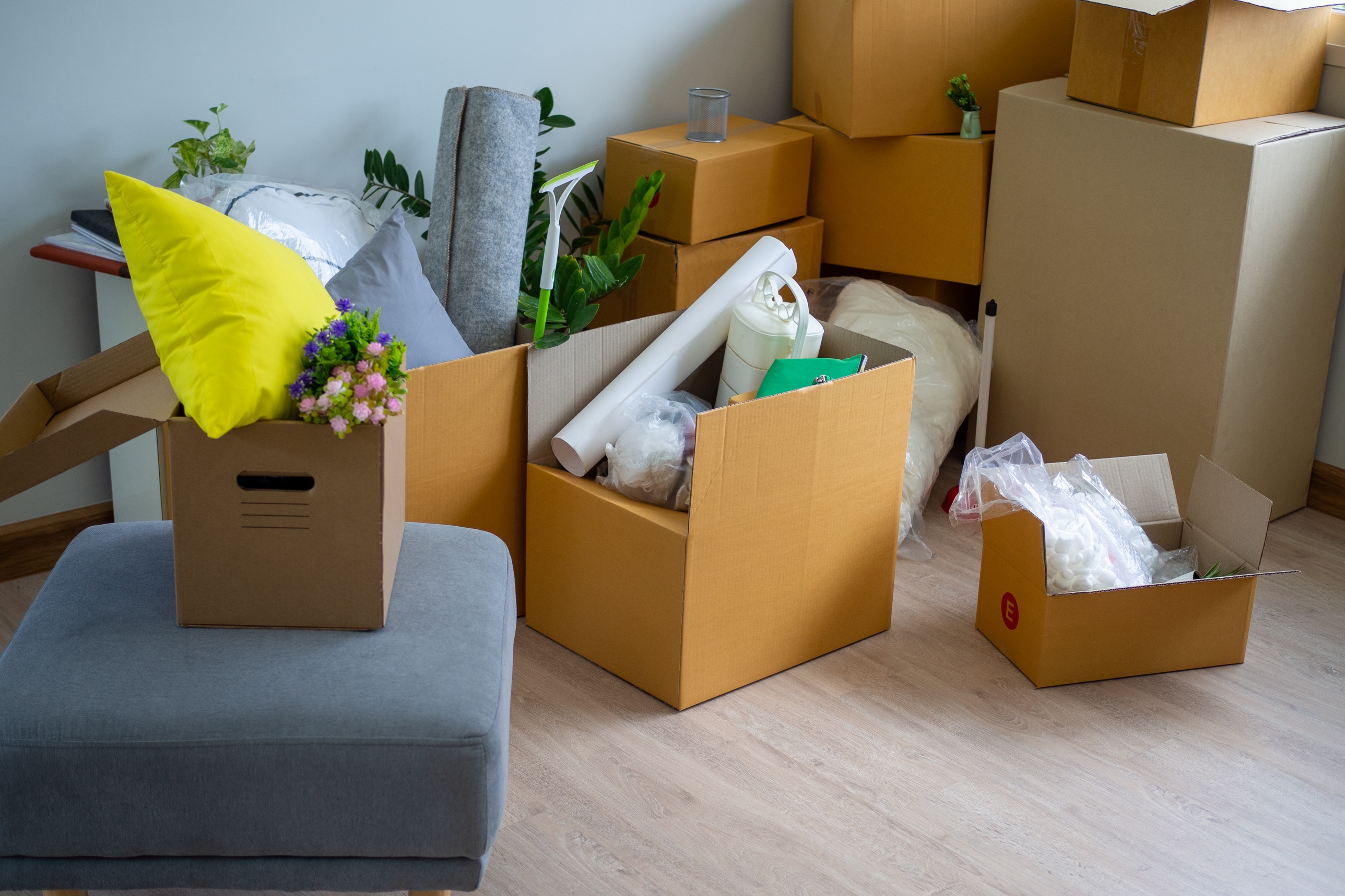 Move-In / Move-Out Cleaning
